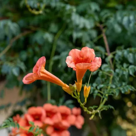 Villa The Mill Retreat With Pool & Bbq By Portugal Active *