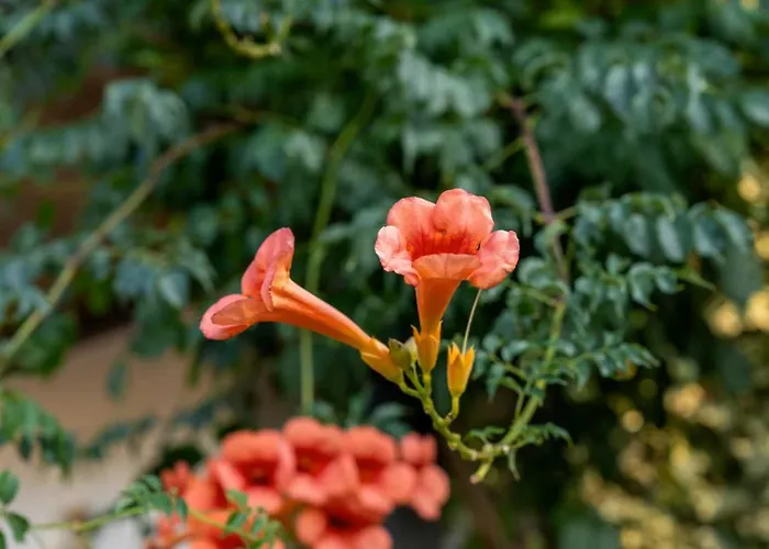 Hotel The Mill Retreat With Pool & Bbq By Portugal Active *