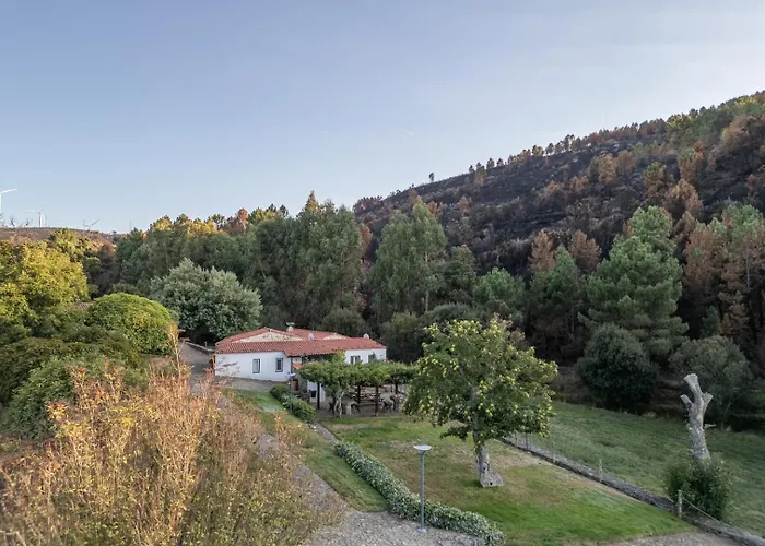 The Mill Retreat With Pool & Bbq By Portugal Active * Moimenta da Beira